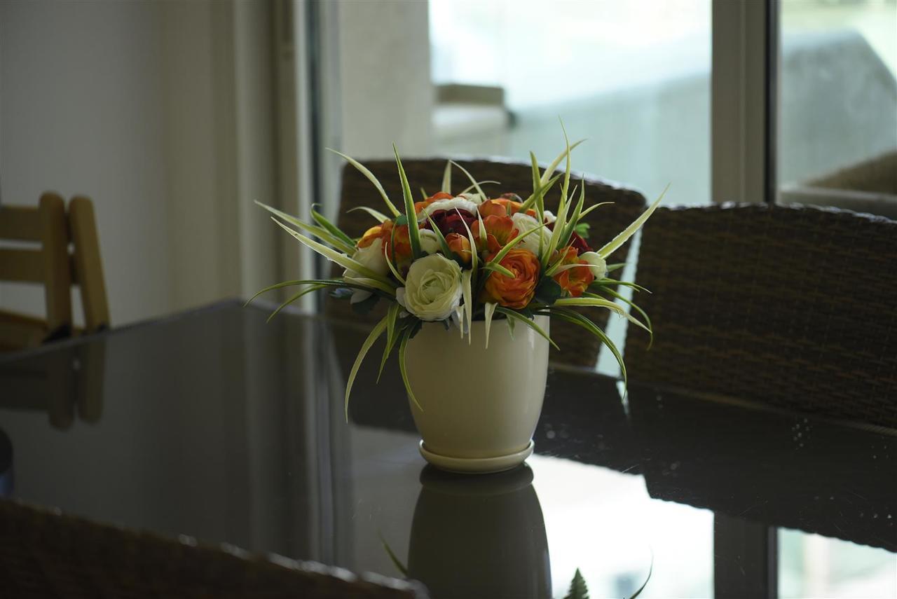 ซิตี้รีสอร์ต ปาลมอร์ Aparthotel เอลัต ภายนอก รูปภาพ